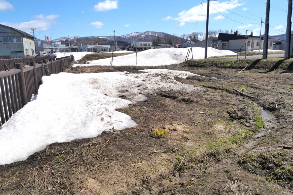 2025年4月28日　雪解けの畑