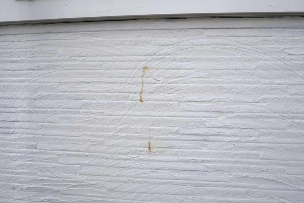 虫の排泄物による汚れ